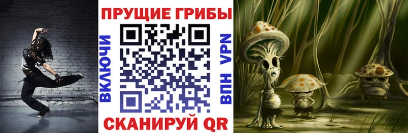 дарк нет как зайти  где купить наркоту  Домодедово  Галлюциногенные грибы Psilocybine cubensis 